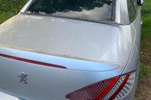 Peugeot 307 cc 2.0  2005/06 BOLLO -10/50%