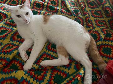 Mi chiamo Amore. perché è il nome perfetto per me