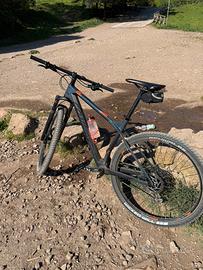 Mtb carbonio