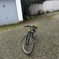 Bicicletta per ragazzo