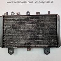 RADIATORE ACQUA x TRIUMPH TIGER 955 2002 2006 955i
