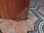 Immagine 6