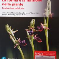  Biologia forma e funzione delle piante