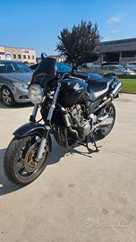 honda hornet 900