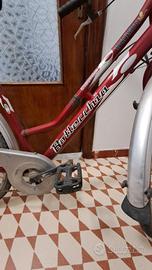 BICICLETTE DI MARCA UOMO - DONNA
