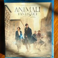DVD Blu-Ray: Animali fantastici e dove trovarli
