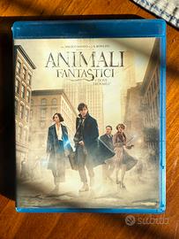 DVD Blu-Ray: Animali fantastici e dove trovarli