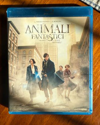 DVD Blu-Ray: Animali fantastici e dove trovarli