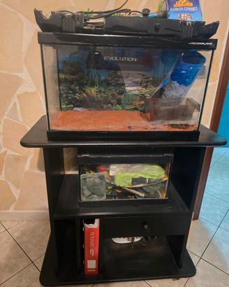 acquario
