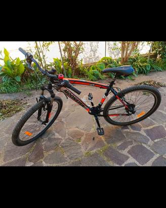 2 Mountain bike 