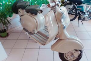 Chopper fantic