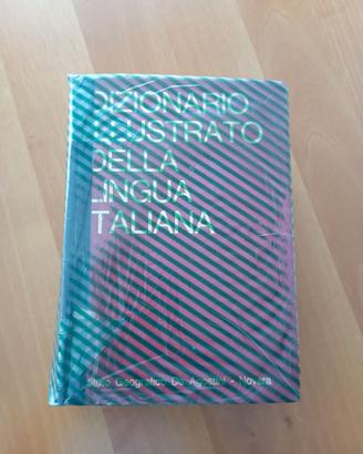 Dizionario italiano illustrato vintage