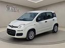 fiat-panda-1-2-easy