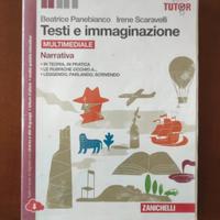 Testi e immaginazione 