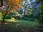 Immagine 16