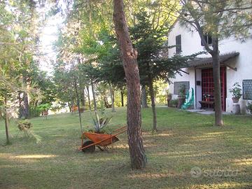 Villa singola con ampio giardino da ristrutturare