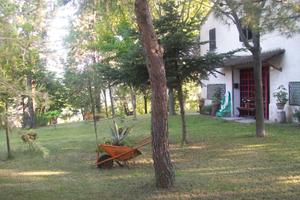 Villa singola con ampio giardino da ristrutturare