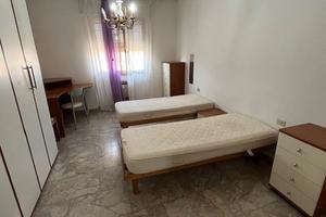 Libero posto letto per ragazza studentessa