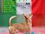 Immagine 4