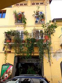 CIRIÈ' Palazzo storico Negozio e Alloggio