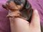 Immagine 6