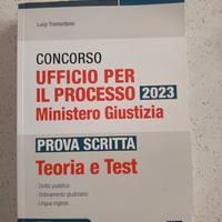 Manuale  concorso ufficio per il processo 2023