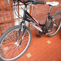Bicicletta misura 26 