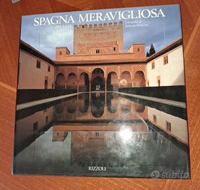 SPAGNA MERAVIGLIOSA: Palazzi, castelli e ville