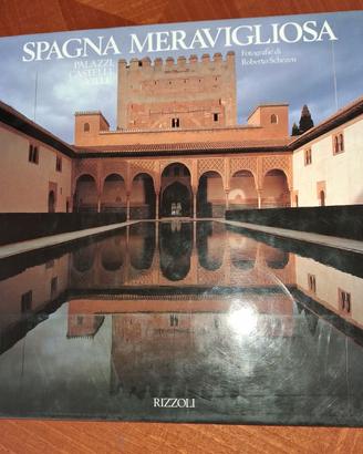 SPAGNA MERAVIGLIOSA: Palazzi, castelli e ville