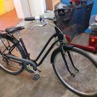 Elops 500 