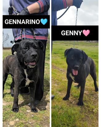 Genny e gennarino
