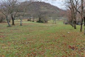 Terreno agricolo Montella