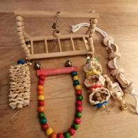 giochi per pappagallini