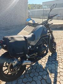LEONCINO BENELLI 500