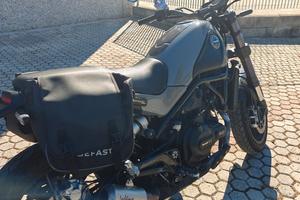 LEONCINO BENELLI 500