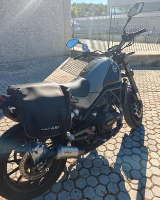 LEONCINO BENELLI 500