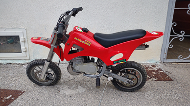 Mini moto cross