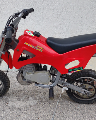 Mini moto cross