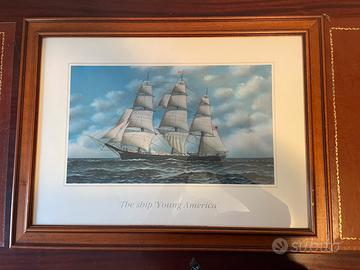 Quadro “The Ship Young America” stampa storica