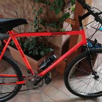 mtb vintage 
