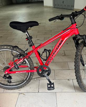 Bottecchia Mtb Alu 24″ Boy - c81 Rosso Nero, 24"