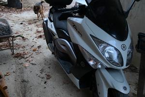 Yamaha T-MAX