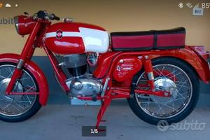 Gilera Giubileo 175