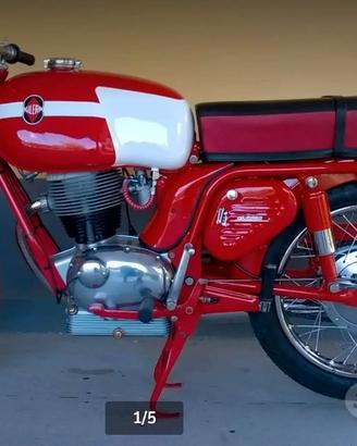 Gilera Giubileo 175