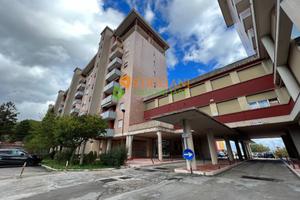 Ufficio, Piazza Molise - Campobasso