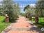 Immagine 18