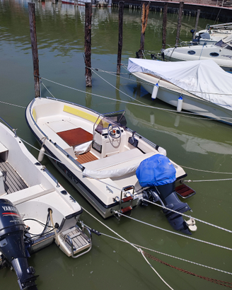 Barca Open con motore 40cv e Carrello