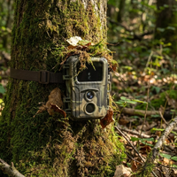Coppia Controllo Fauna Flora Persone Monitoraggio