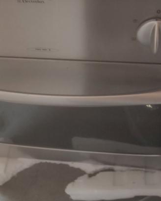 Forno Rex incasso