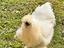 Immagine 3